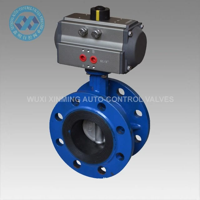 Flange Npauj Npaim Valve