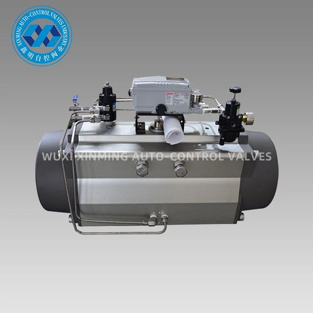 Pneumatic Actuator Nrog YTC Ntse Valve Positioner