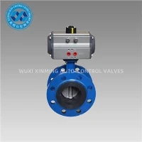Pneumatic Actuator Flange Npauj Npaim Vlave