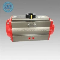 Pneumatic Valve Actuator