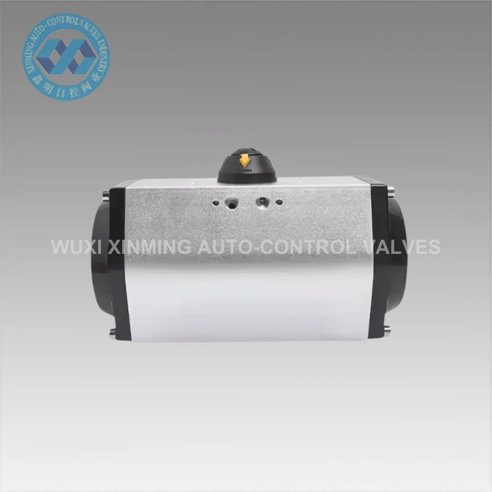 Dub nyiaj pneumatic atuator