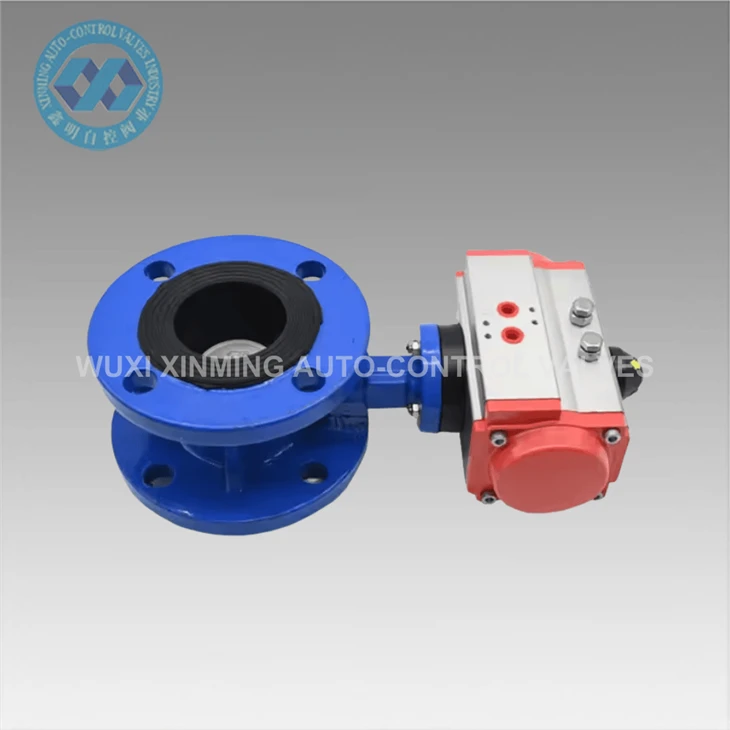 Kev cai ib leeg thiab ob chav ua flanged npauj npaim valve