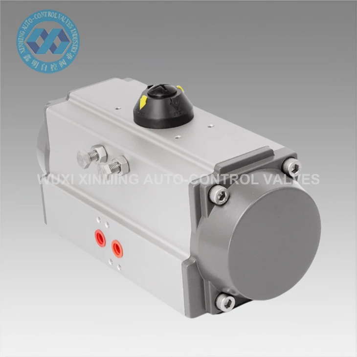 Chaw tsim tshuaj paus Ncaj Ncees Zoo Ob Chav Ua Rau Pneumatic Valve Ntaus Lub Tog Roos Hlau Hloov Lub Tog Pneumatic Hloov Hom Pneumatic Actuator