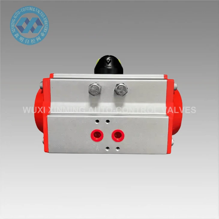 Pneumatic Tawm Actuator