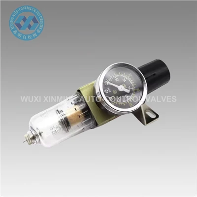 AW2000-02 Precision Single-Stage Filter Regulator Rau Cua Pumps