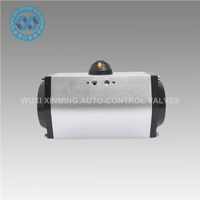 Dub nyiaj pneumatic atuator