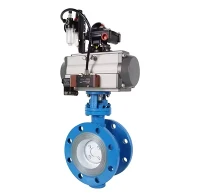 Triple Eccentric Pneumatic Npauj Npaim Valve