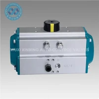 Cov qauv pub dawb kuaj pneumatic pneumatic