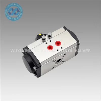 Txwv tsis pub siv sijhawm rau pneumatic actuatators