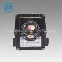 Ntev Lub Neej Hlau Pneumatic Valve