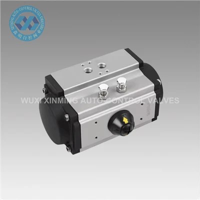 Tus txij nkawm tsawg dua Pneumatic Actuator