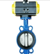Tshiab Tuaj Txog Pneumatic Stainless Wafer Rafe Valve
