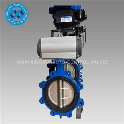 Pneumatic Npauj Npaim Valve Actuator