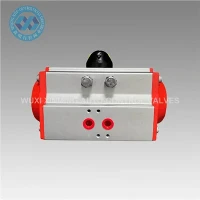 Pneumatic Tawm Actuator