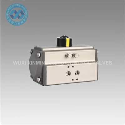 Ib Leeg / Ob Chav Ua Pneumatic Actuator