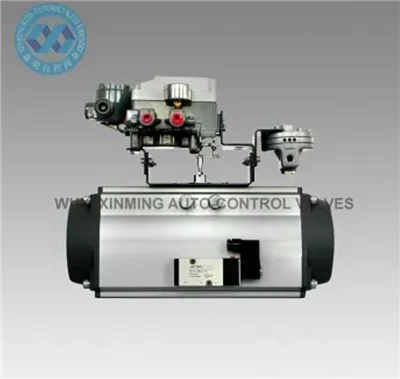 Sr pneumatic rotary Actuator